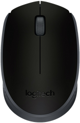 Мышь LogITech Wireless Mouse M171 Black (6270804)